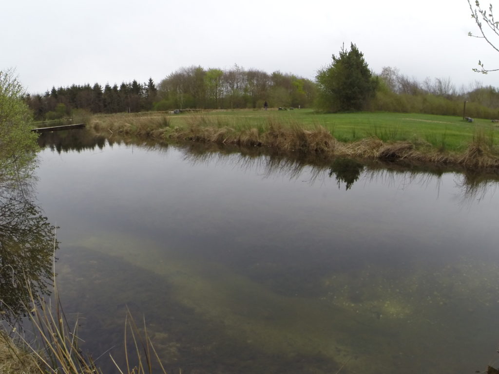 Arrild Fiskesee Erfahrungen